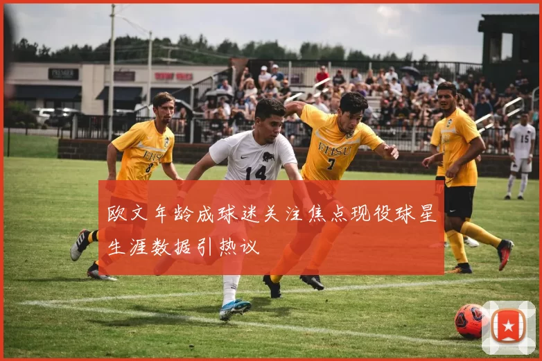 欧文年龄成球迷关注焦点现役球星生涯数据引热议